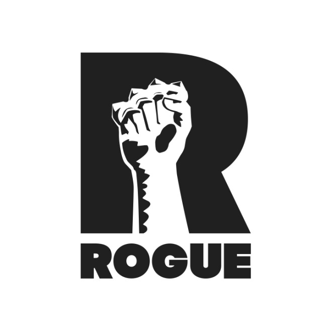 Rogue Games 融资 200 万美元，进军主机游戏领域